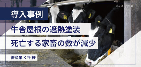 畜舎屋根の遮熱塗装で家畜の暑熱対策に成功｜K社様の導入事例