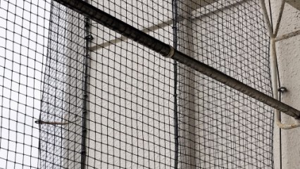 鳥害対策の施工箇所
