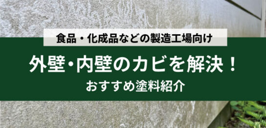 カビを解決するおすすめ塗料