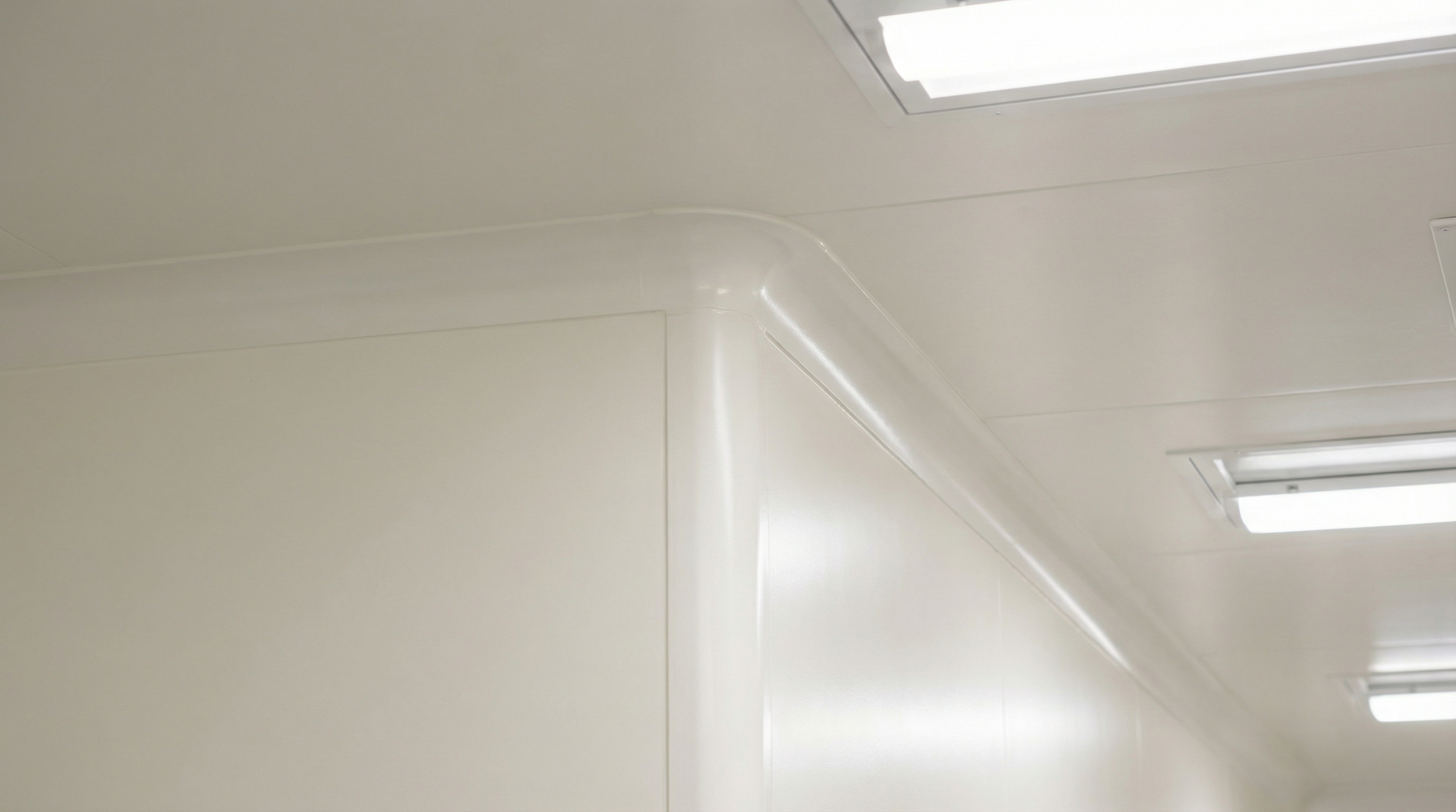 カビ対策を施したキレイな壁と天井