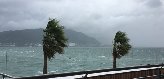 台風