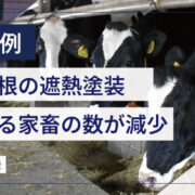 導入事例｜牛舎屋根の遮熱塗装・暑熱対策