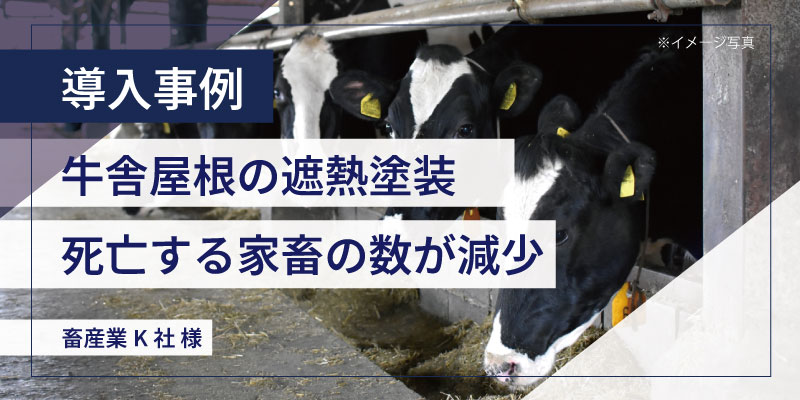 導入事例｜牛舎屋根の遮熱塗装・暑熱対策